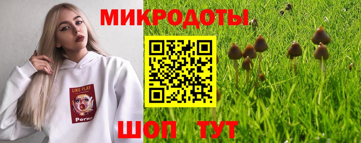 Галлюциногенные грибы мицелий Вичуга